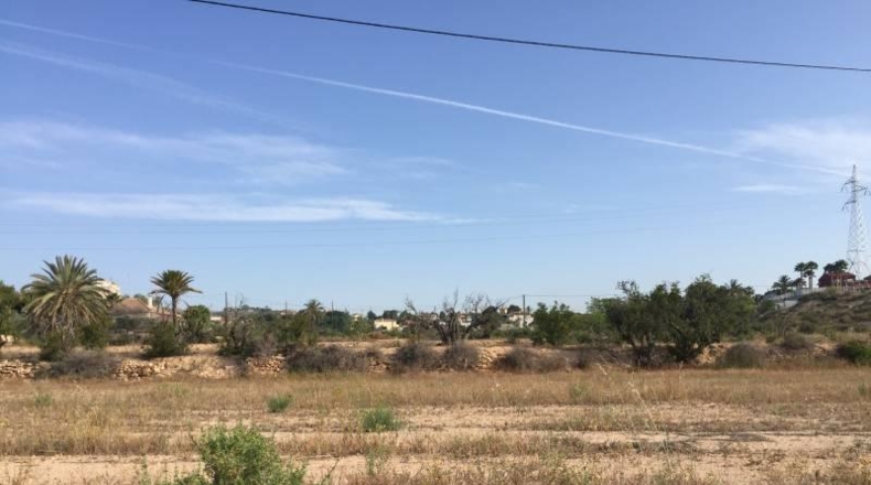Alicante - Elche - 26000m2