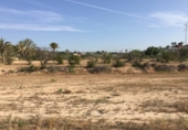 Parcel·la urbanitzable en venda a la España, Elx, ref.: TR112768 foto