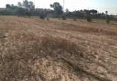Parcel·la urbanitzable en venda a la España, Elx, ref.: TR112768 foto