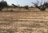 Parcel·la urbanitzable en venda a la España, Elx, ref.: TR112768 foto