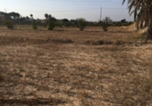 Parcel·la urbanitzable en venda a la España, Elx, ref.: TR112768 foto