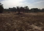 Parcel·la urbanitzable en venda a la España, Elx, ref.: TR112768 foto