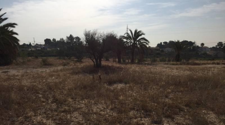 Alicante - Elche - 26000m2
