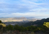 Xalet independent amb terreny en venda a la España, Castalla, ref.: TR235721 foto