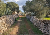 Casa de camp amb terreny en venda a la España, Ciutadella de Menorca, ref.: TR154581 foto