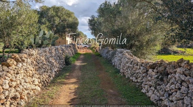 Islas Baleares - Ciutadella - 273971m2