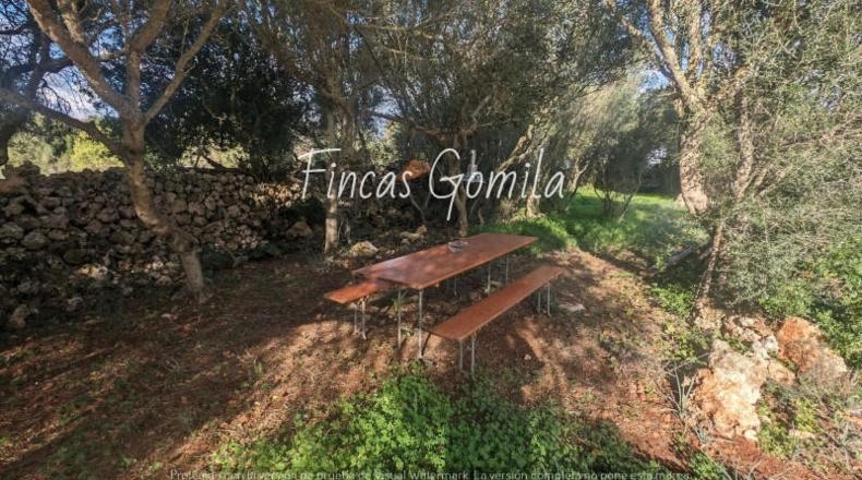 Islas Baleares - Ciutadella - 273971m2
