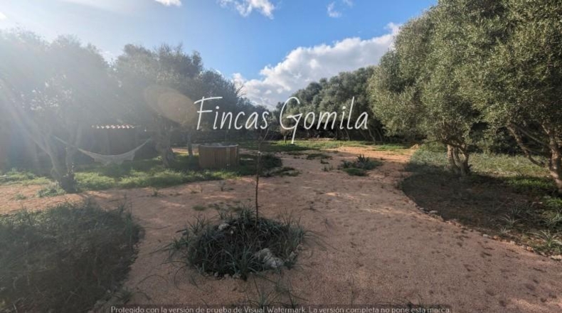 Islas Baleares - Ciutadella - 273971m2