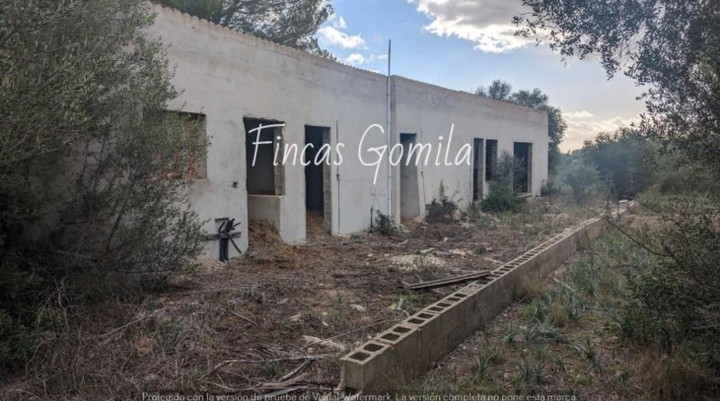 Islas Baleares - Ciutadella - 273971m2