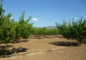Chalet independiente con terreno en venta en la España, Ontinyent, ref: TR139640 foto