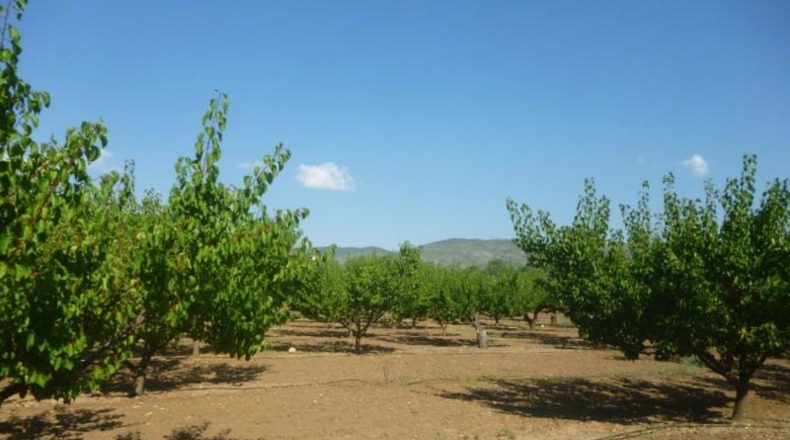 Valencia - Onteniente - 70873m2