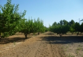 Chalet independiente con terreno en venta en la España, Ontinyent, ref: TR139640 foto