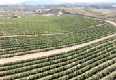 Terreno no urbanizable en venta en la España, Cuevas del Almanzora, ref: TR117829 foto