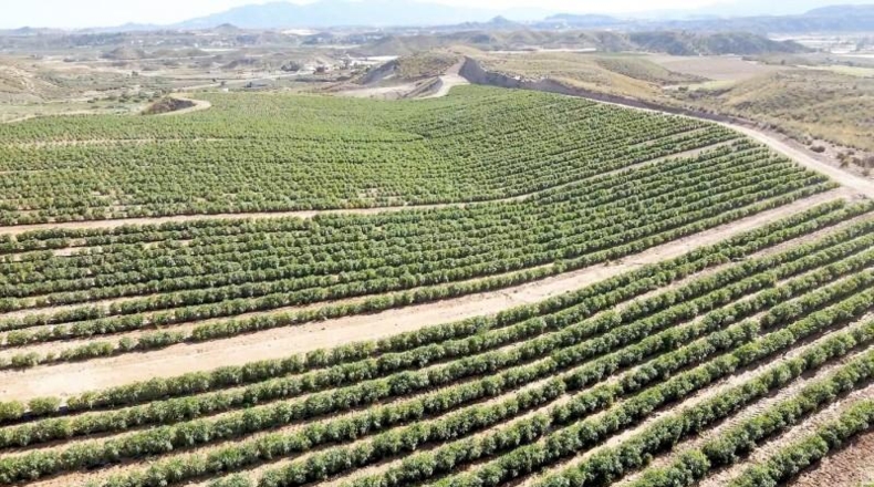 Almeria - Cuevas del Almanzora - 126344m2