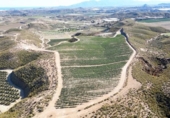 Terreno no urbanizable en venta en la España, Cuevas del Almanzora, ref: TR117829 foto
