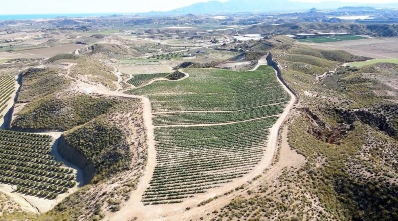 Almeria - Cuevas del Almanzora - 126344m2