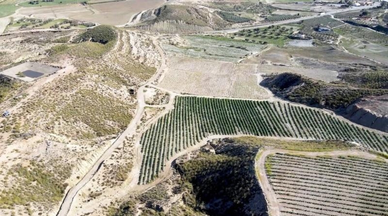 Almeria - Cuevas del Almanzora - 126344m2