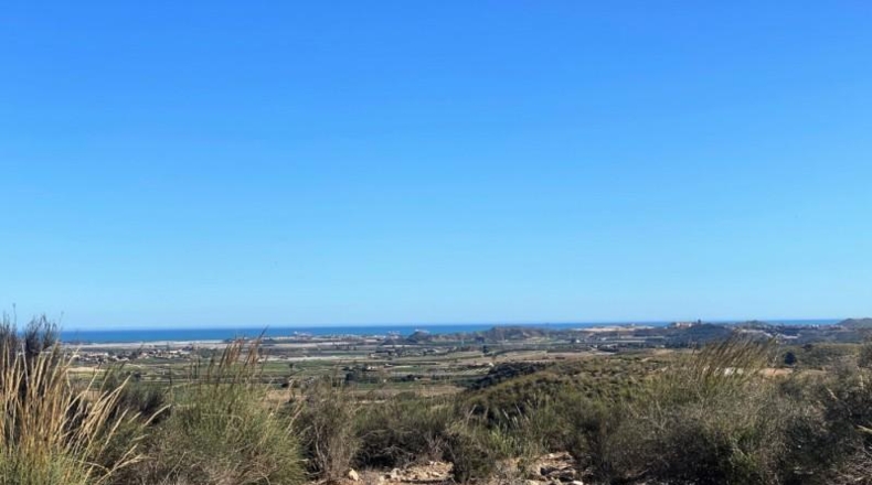 Almeria - Cuevas del Almanzora - 126344m2