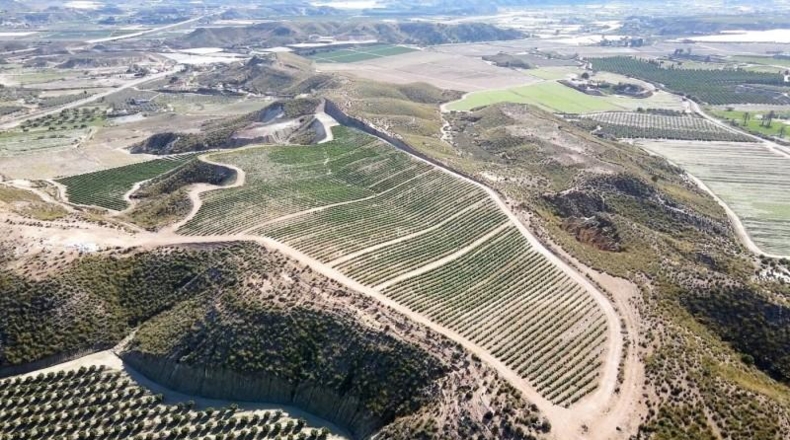 Almeria - Cuevas del Almanzora - 126344m2