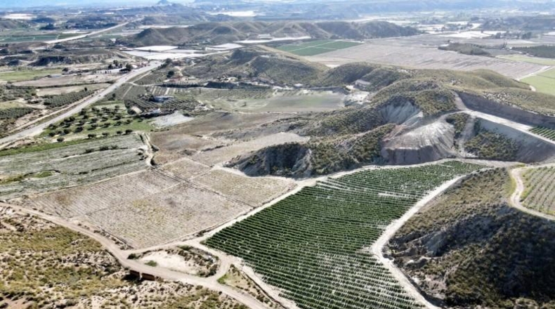 Almeria - Cuevas del Almanzora - 126344m2