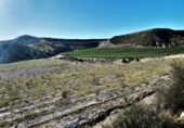 Terreno no urbanizable en venta en la España, Cuevas del Almanzora, ref: TR117829 foto