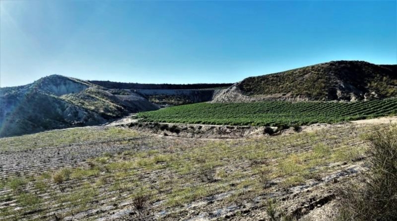 Almeria - Cuevas del Almanzora - 126344m2