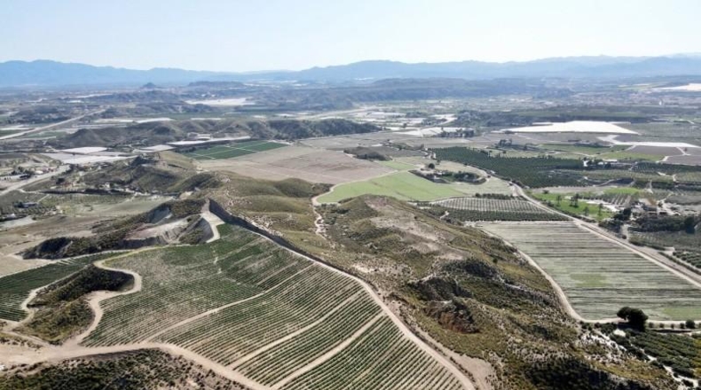 Almeria - Cuevas del Almanzora - 126344m2