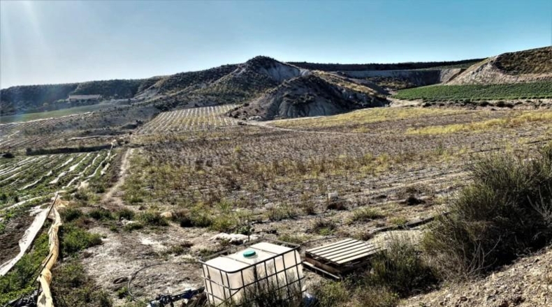 Almeria - Cuevas del Almanzora - 126344m2
