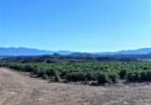 Terreno no urbanizable en venta en la España, Cuevas del Almanzora, ref: TR117829 foto