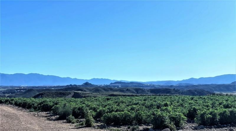 Almeria - Cuevas del Almanzora - 126344m2