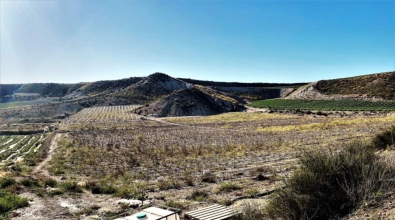 Almeria - Cuevas del Almanzora - 126344m2