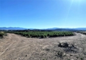 Terreno no urbanizable en venta en la España, Cuevas del Almanzora, ref: TR117829 foto