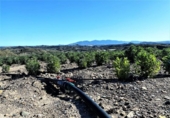 Terreno no urbanizable en venta en la España, Cuevas del Almanzora, ref: TR117829 foto