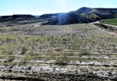 Terreno no urbanizable en venta en la España, Cuevas del Almanzora, ref: TR117829 foto