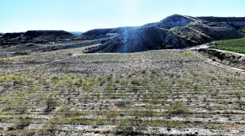 Almeria - Cuevas del Almanzora - 126344m2