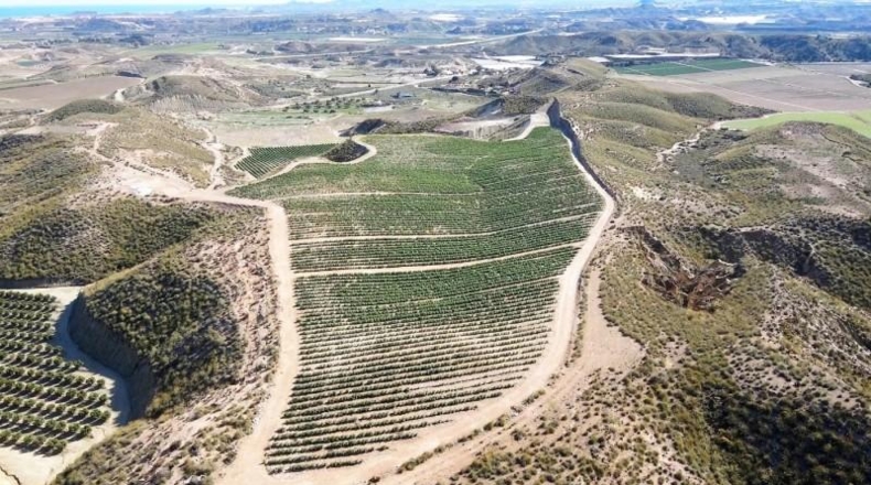 Almeria - Cuevas del Almanzora - 126344m2
