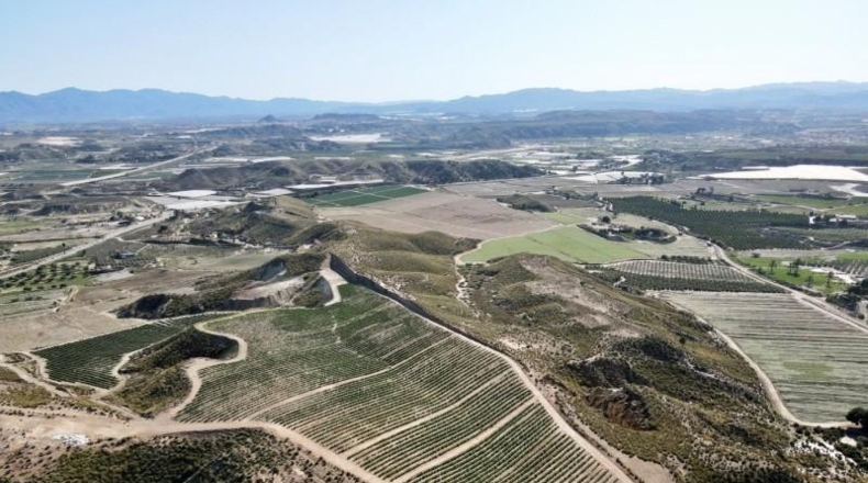 Almeria - Cuevas del Almanzora - 126344m2