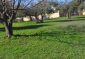 Отдельно стоящий дом с участком на продажу в городе Palomares del Río Фото