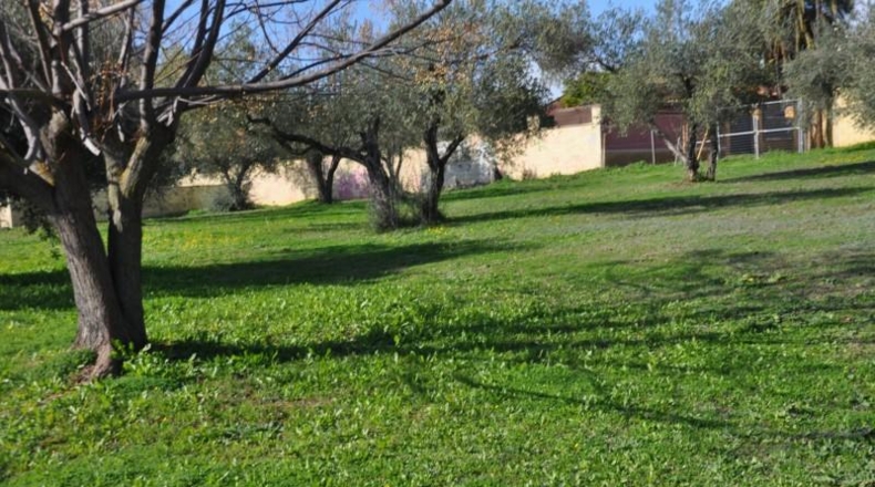 Sevilla - Palomares del Río - 6977m2