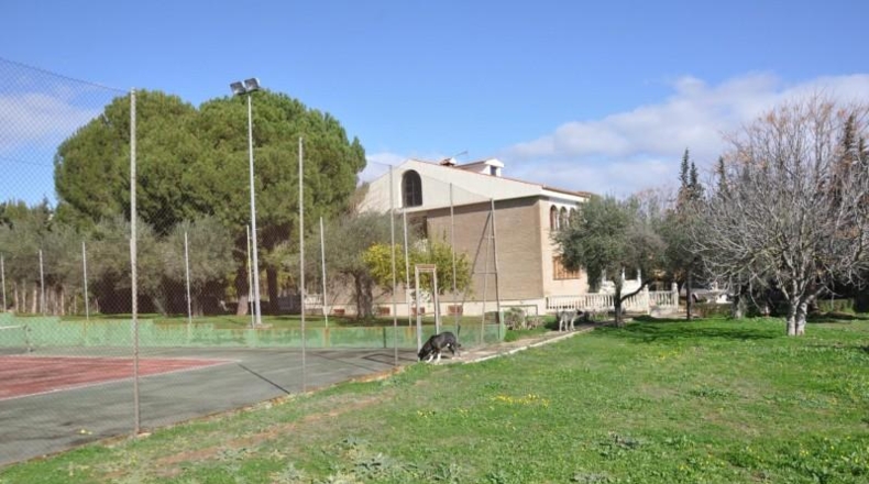Sevilla - Palomares del Río - 6977m2