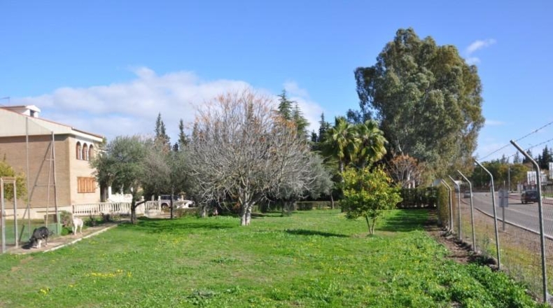Sevilla - Palomares del Río - 6977m2