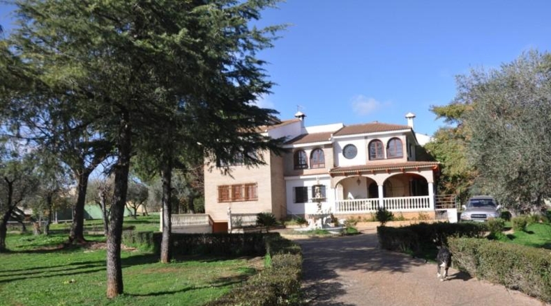 Sevilla - Palomares del Río - 6977m2