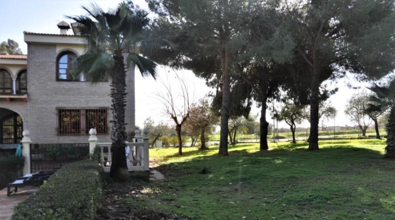 Sevilla - Palomares del Río - 6977m2