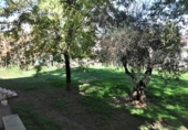 Отдельно стоящий дом с участком на продажу в городе Palomares del Río Фото