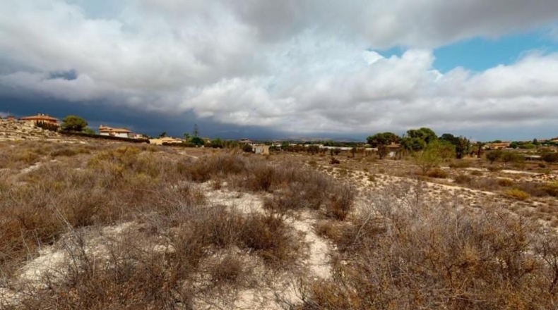 Alicante - Muchamiel - 29154m2