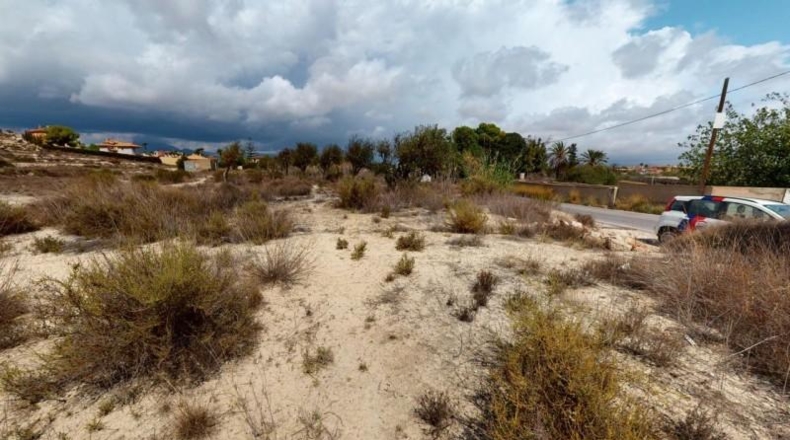 Alicante - Muchamiel - 29154m2