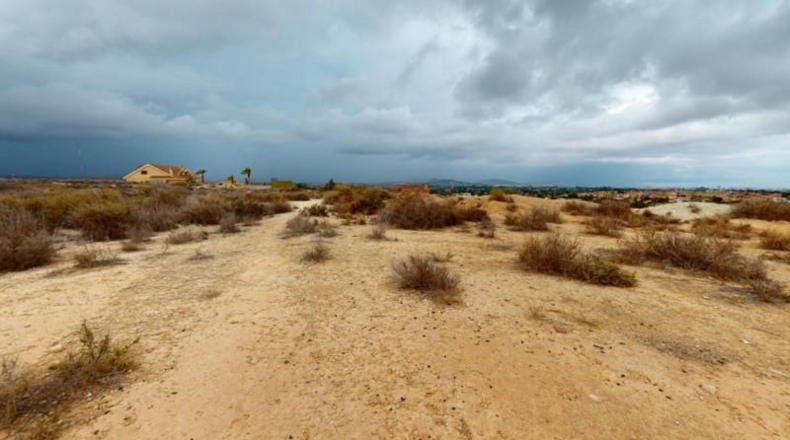 Alicante - Muchamiel - 29154m2