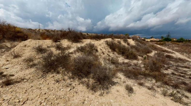 Alicante - Muchamiel - 29154m2