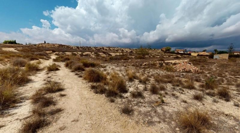 Alicante - Muchamiel - 29154m2