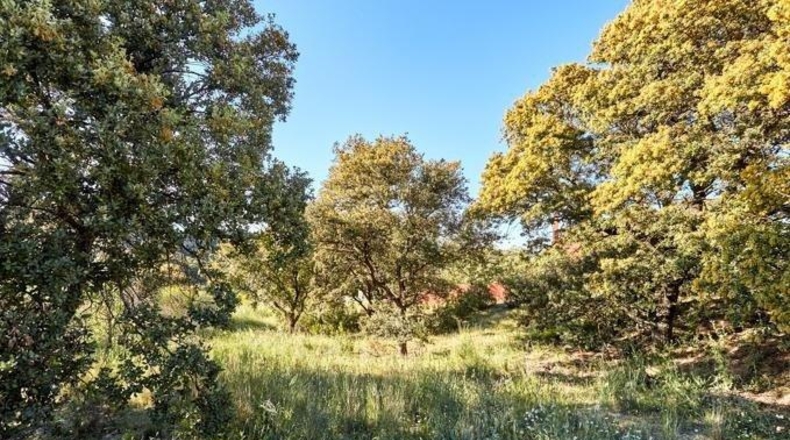Comunidad de Madrid - San Sebastián de los Reyes - 8472m2